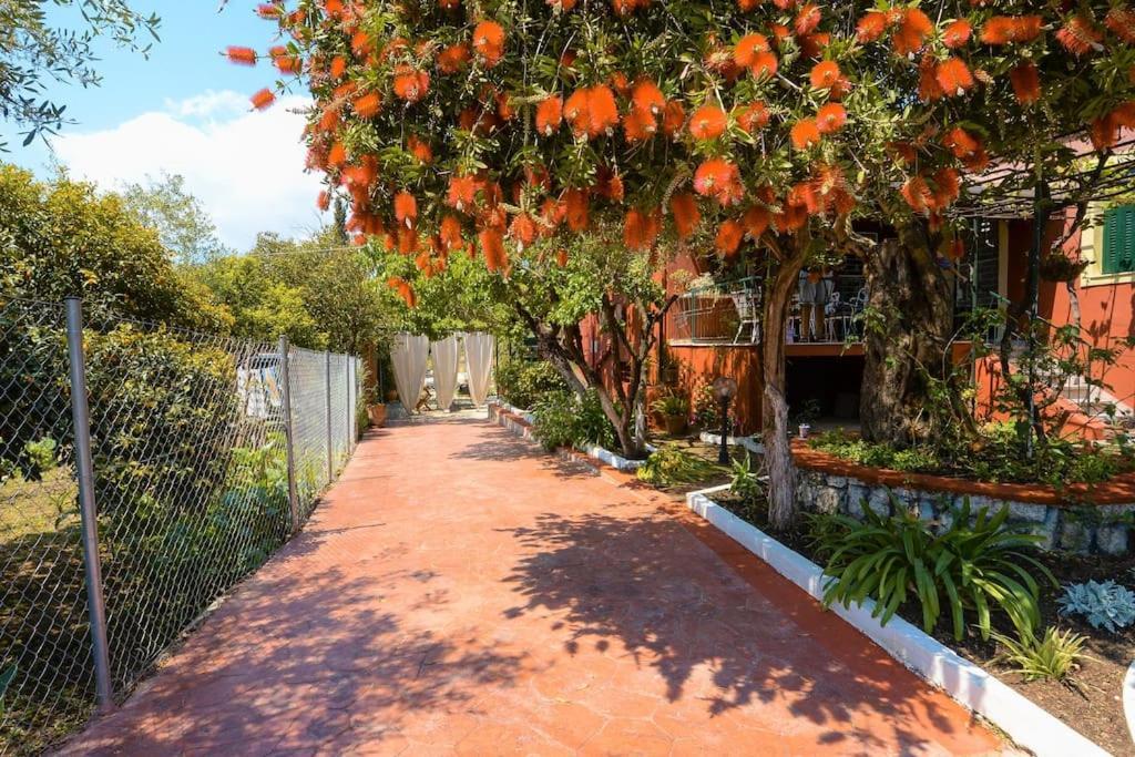 The Red House In Dassia Dassia (Corfu) Exterior foto
